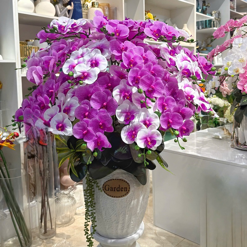 Chậu hoa lan giả tím 1 mặt mã 53